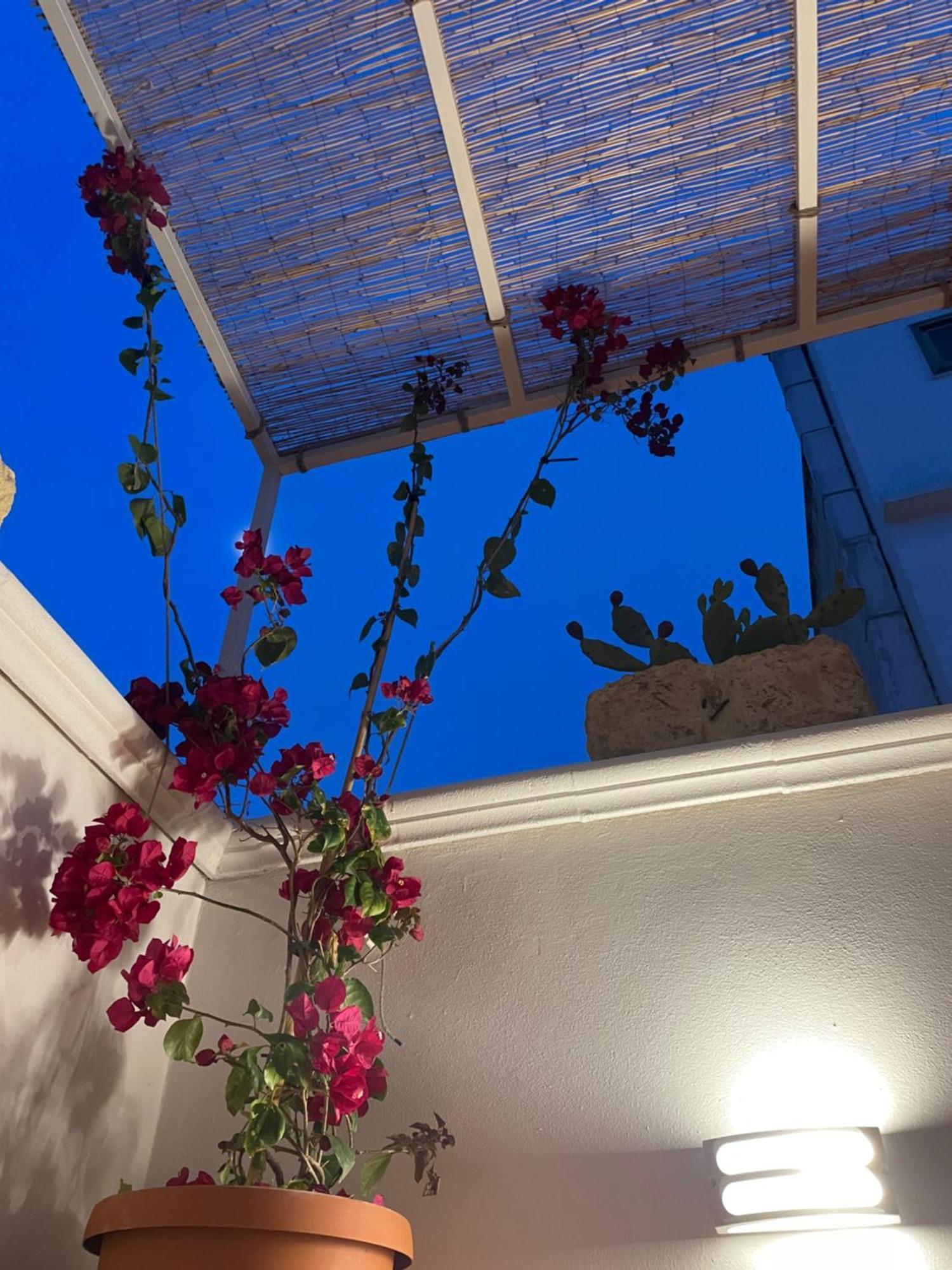 Casa Mia Villa Mola di Bari Ngoại thất bức ảnh
