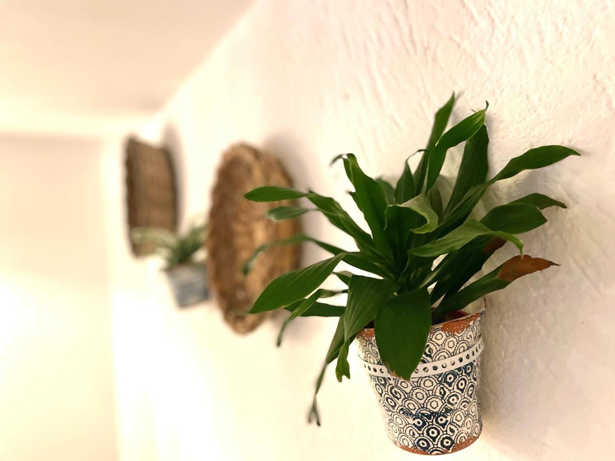 Casa Mia Villa Mola di Bari Ngoại thất bức ảnh