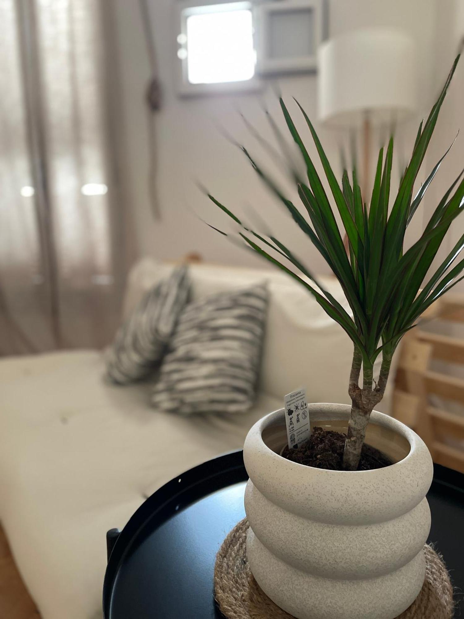 Casa Mia Villa Mola di Bari Ngoại thất bức ảnh